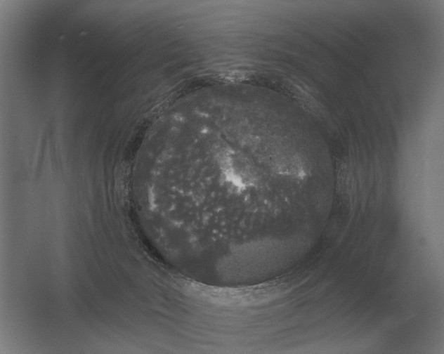 X0000061730030200512161634