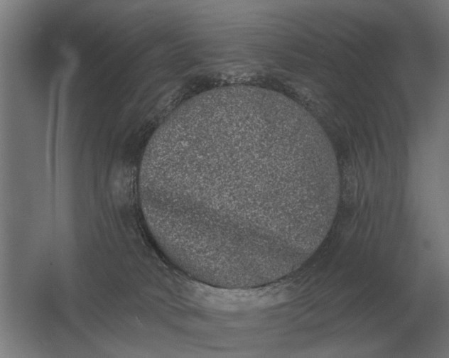 X0000061730034200512161634