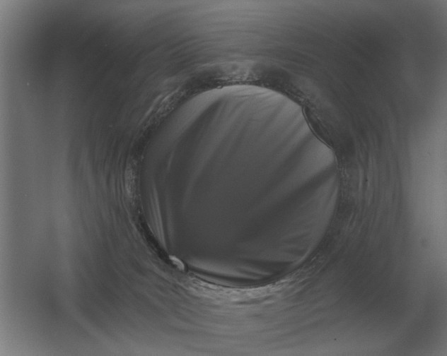 X0000061730035200512161634