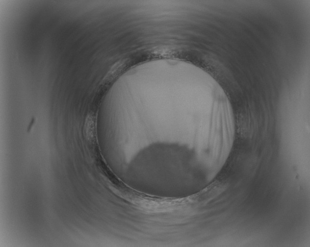 X0000061730036200512161634