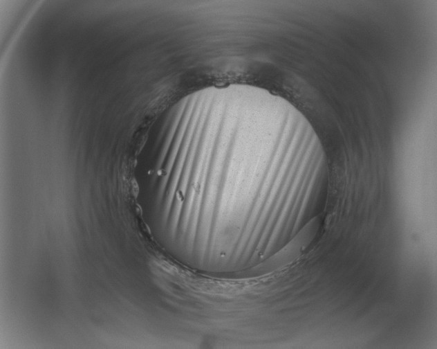 X0000061730037200512161634