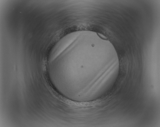 X0000061730038200512161634