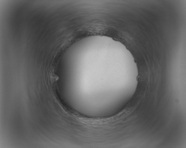 X0000061730040200512161634