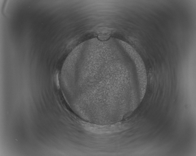 X0000061730042200512161634