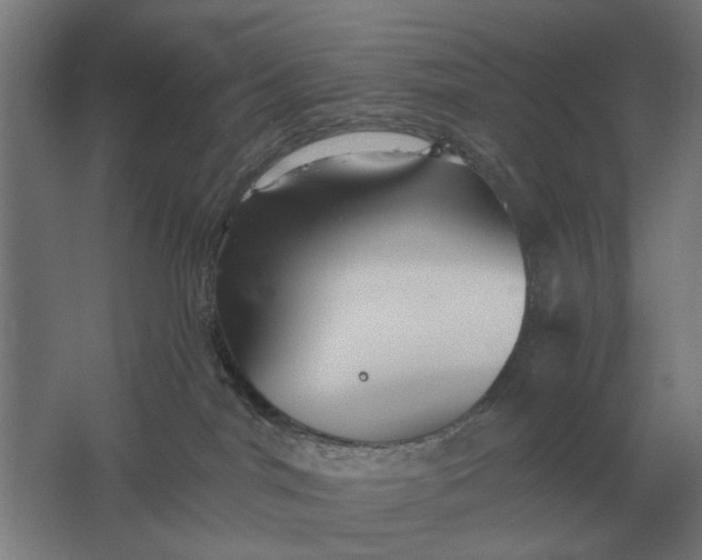 X0000061730044200512161634