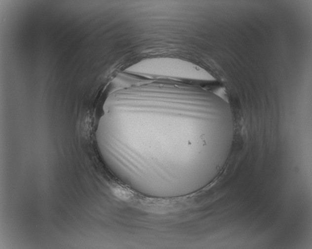 X0000061730045200512161634