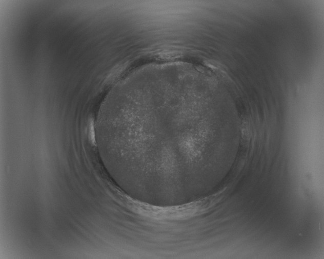 X0000061730046200512161634