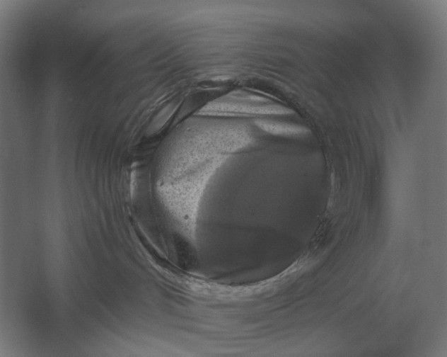 X0000061730048200512161634