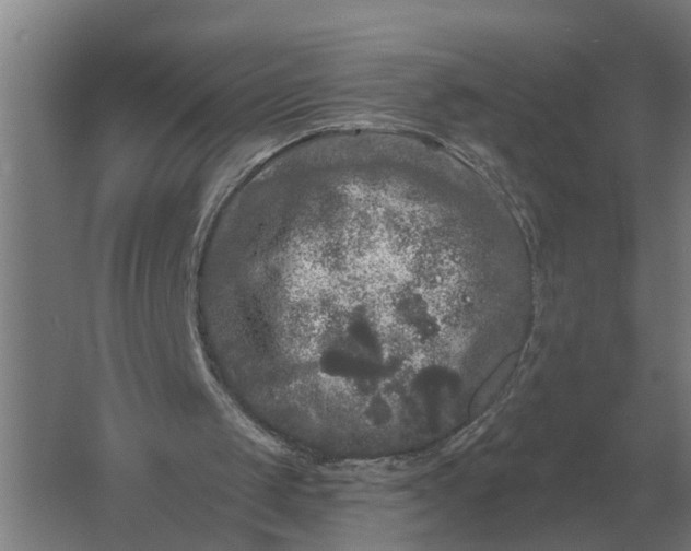 X0000061730049200512161633