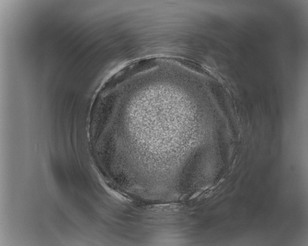 X0000061730050200512161633