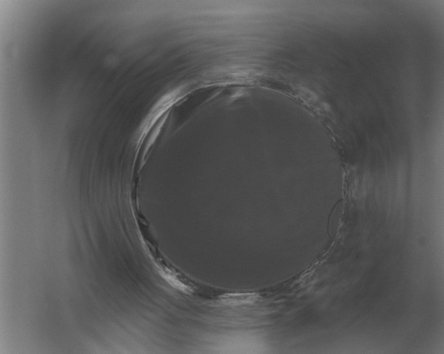 X0000061730051200512161633