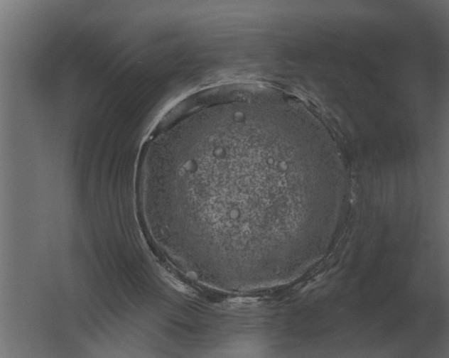 X0000061730052200512161633