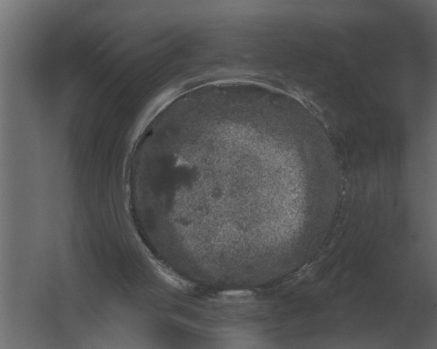 X0000061730053200512161633