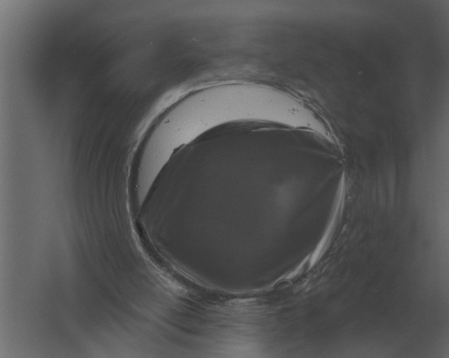 X0000061730054200512161633