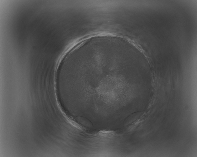 X0000061730055200512161633