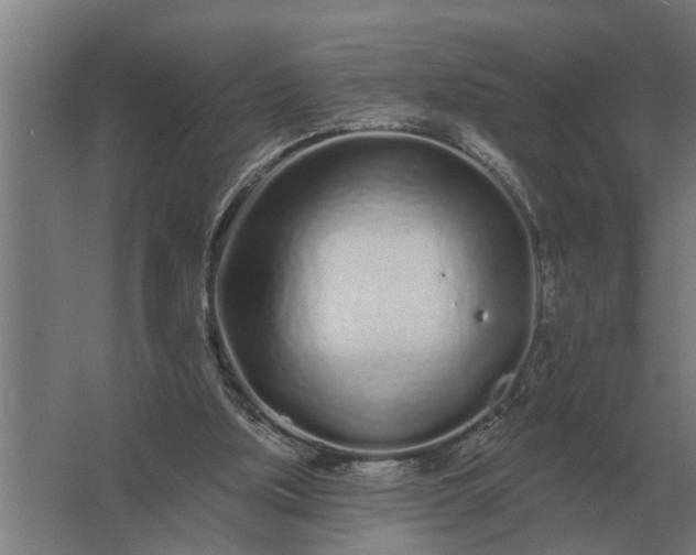 X0000061730059200512161633