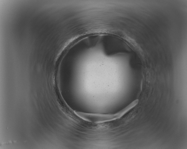 X0000061730060200512161633