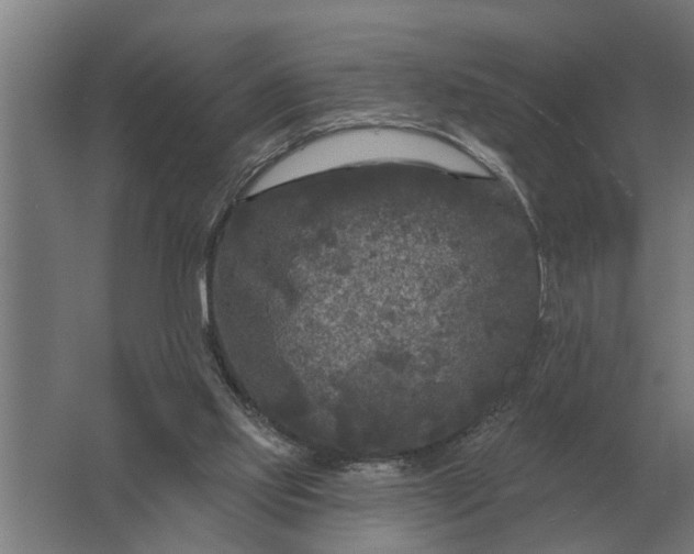 X0000061730061200512161633