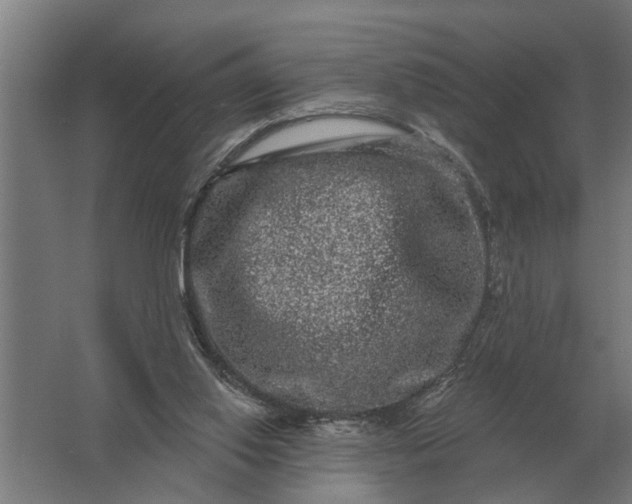 X0000061730062200512161633