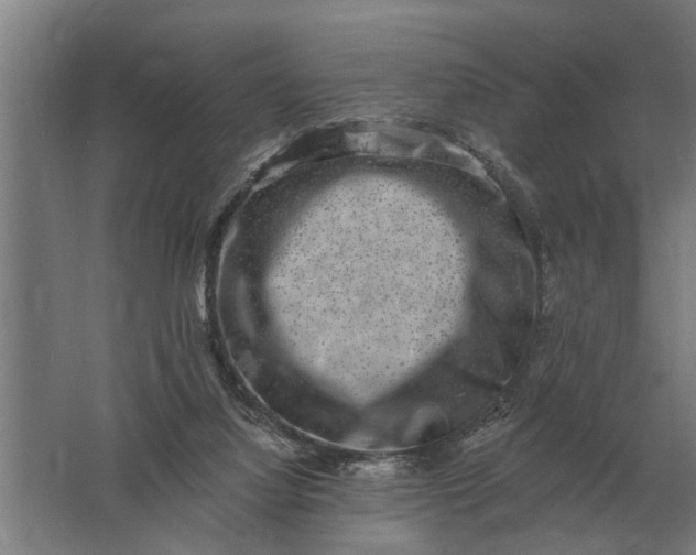 X0000061730068200512161633