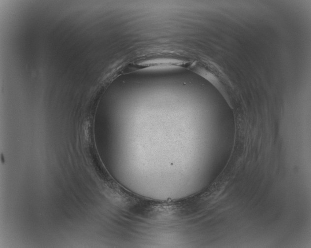 X0000061730071200512161633