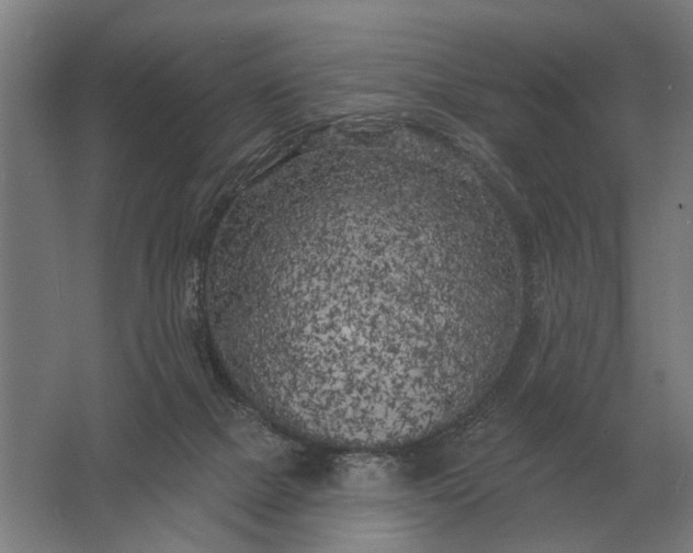 X0000061730073200512161633