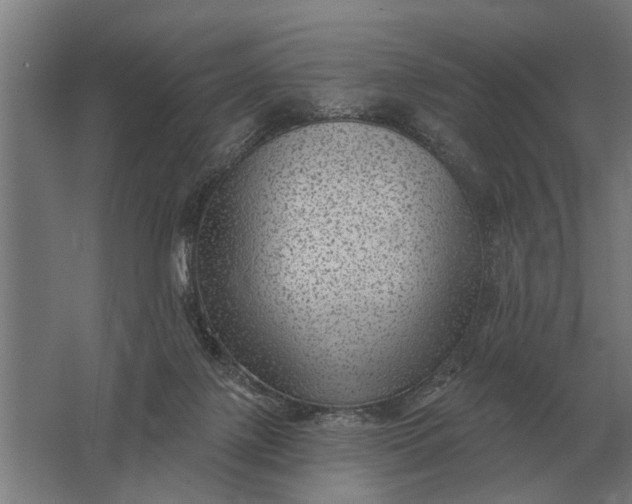 X0000061730075200512161633