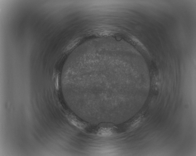 X0000061730076200512161633