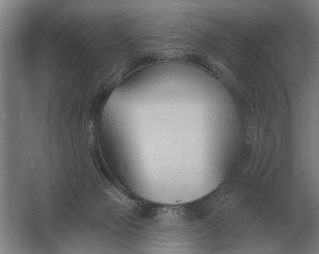 X0000061730077200512161633