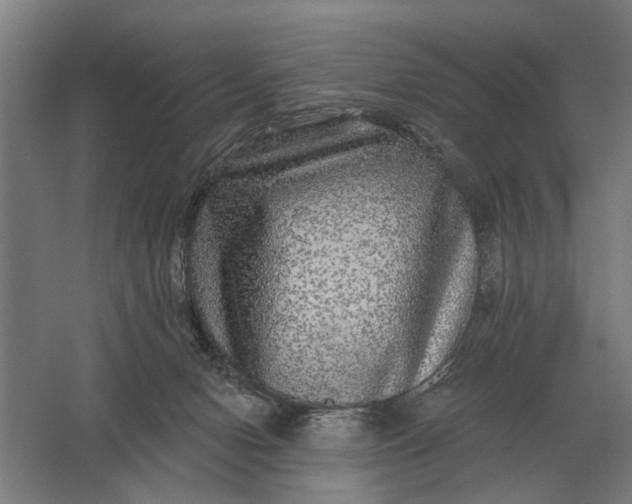 X0000061730078200512161633