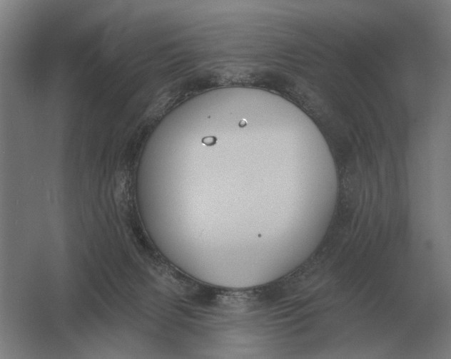 X0000061730079200512161633