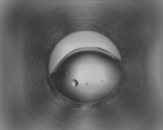 X0000061730080200512161633