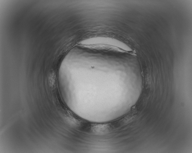 X0000061730081200512161633