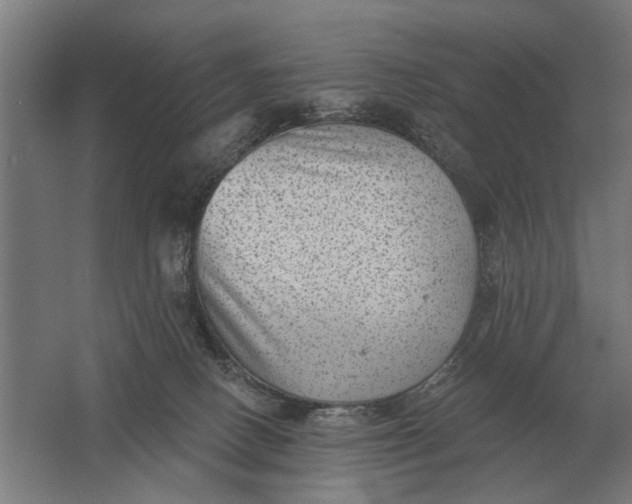 X0000061730082200512161634