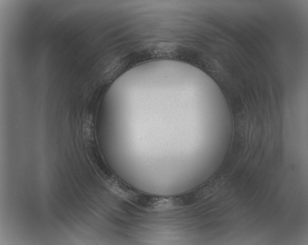 X0000061730083200512161634