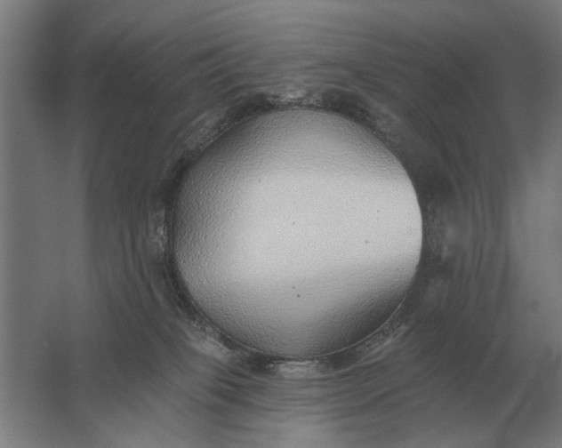 X0000061730085200512161634