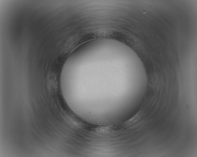 X0000061730086200512161634