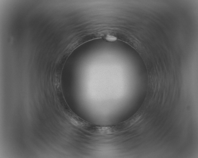 X0000061730091200512161634