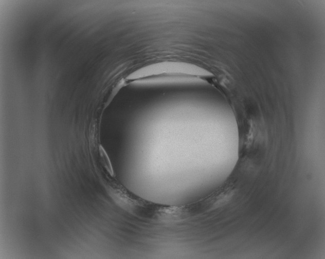 X0000061730092200512161634