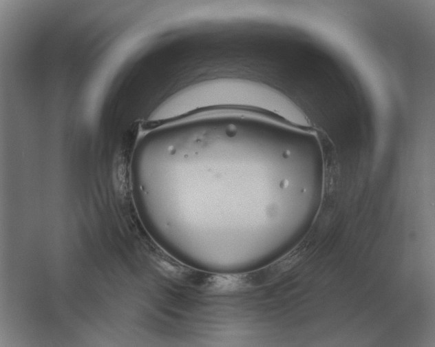 X0000061730093200512161634