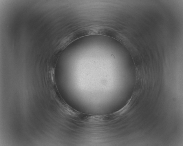 X0000061730094200512161634