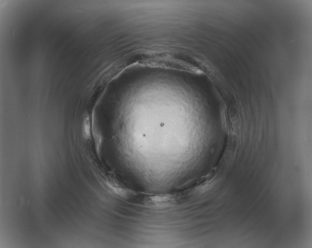 X0000061730095200512161634