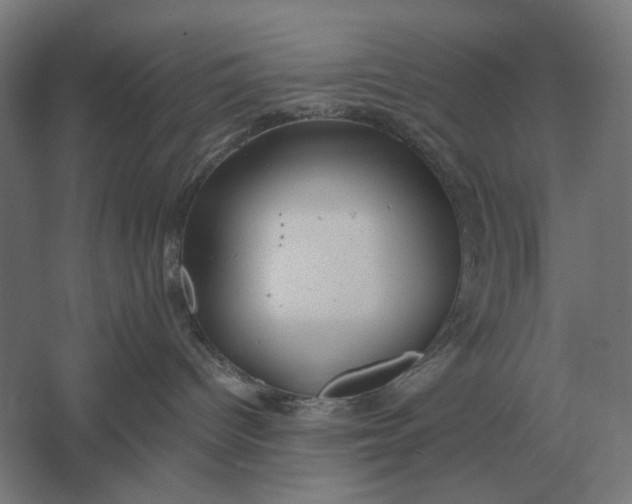 X0000061730096200512161634