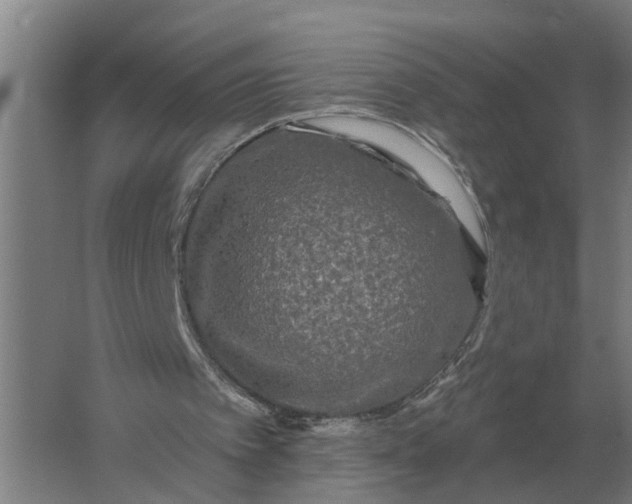 X0000061730097200512161633