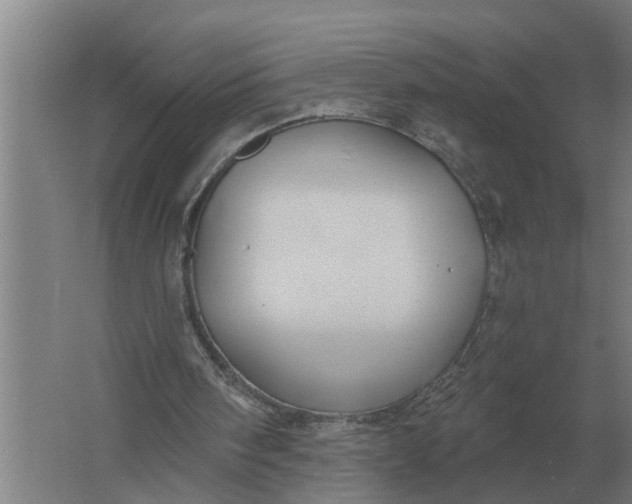 X0000061730098200512161633