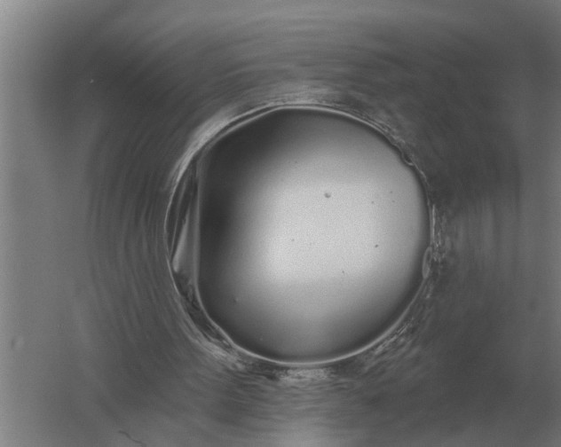 X0000061730099200512161633