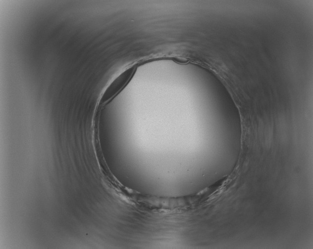 X0000061730100200512161633