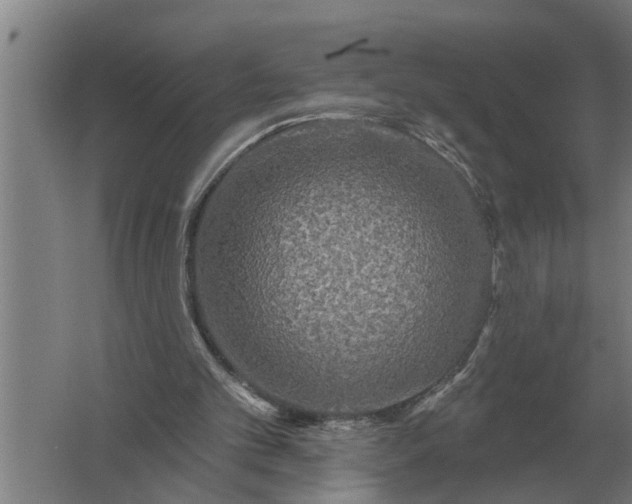 X0000061730101200512161633