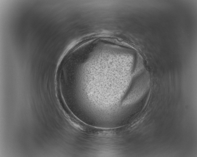 X0000061730102200512161633