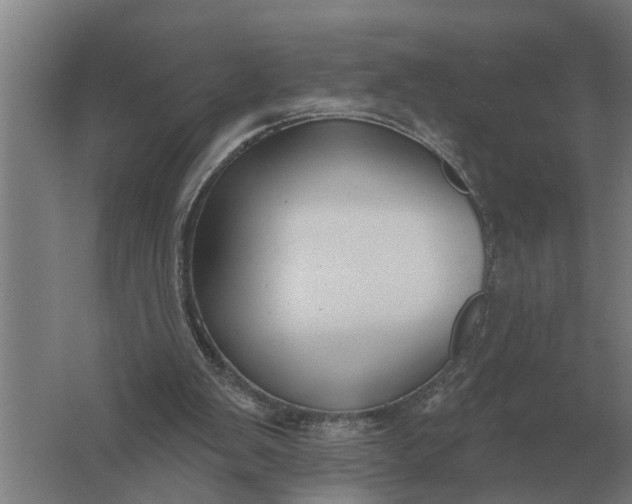 X0000061730103200512161633